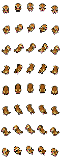Pidgey