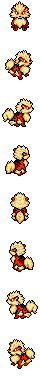 Arcanine